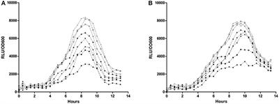 PvdQ Quorum Quenching Acylase Attenuates Pseudomonas aeruginosa Virulence in a Mouse Model of Pulmonary Infection